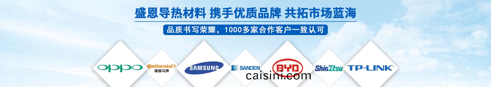 盛元新材料科技 盛元新材料科技